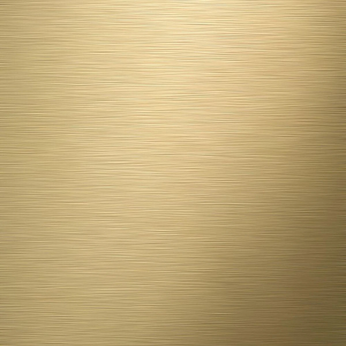 Tiger Tune - Toiletrolhouder Zonder Klep - Messing Geborsteld / Zwart 11 Tiger Tune - Toiletrolhouder Zonder Klep - Messing Geborsteld / Zwart - Afbeelding 9