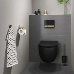 Tiger Tune - Toiletrolhouder Met Klep - Messing Geborsteld / Zwart -Badkamer Product Winkel 1200x1200 366